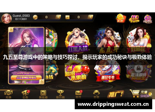 九五至尊游戏中的策略与技巧探讨，揭示玩家的成功秘诀与极致体验