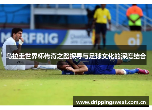 乌拉圭世界杯传奇之路探寻与足球文化的深度结合