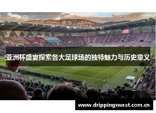 亚洲杯盛宴探索各大足球场的独特魅力与历史意义
