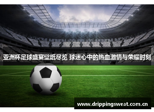 亚洲杯足球盛宴壁纸尽览 球迷心中的热血激情与荣耀时刻