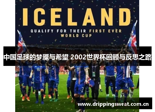 中国足球的梦魇与希望 2002世界杯回顾与反思之路