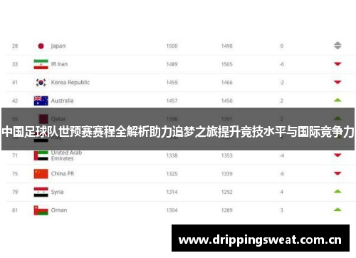 中国足球队世预赛赛程全解析助力追梦之旅提升竞技水平与国际竞争力