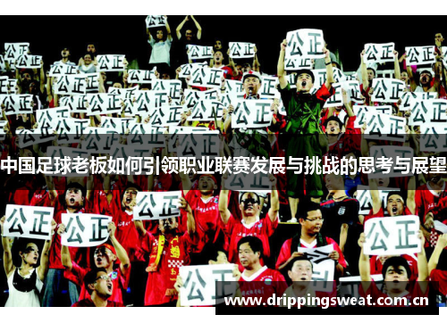 中国足球老板如何引领职业联赛发展与挑战的思考与展望
