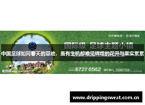 中国足球如同春天的草地，虽有生机却难见辉煌的花开与果实累累
