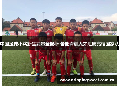 中国足球小将新生力量全揭秘 各地青训人才汇聚亮相国家队