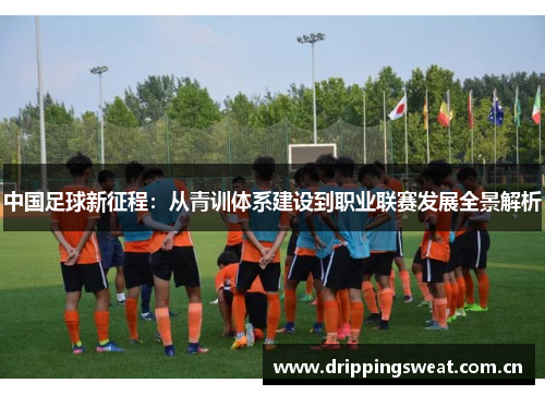 中国足球新征程：从青训体系建设到职业联赛发展全景解析