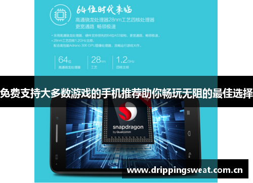 免费支持大多数游戏的手机推荐助你畅玩无阻的最佳选择