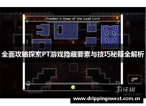 全面攻略探索PT游戏隐藏要素与技巧秘籍全解析