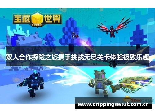 双人合作探险之旅携手挑战无尽关卡体验极致乐趣