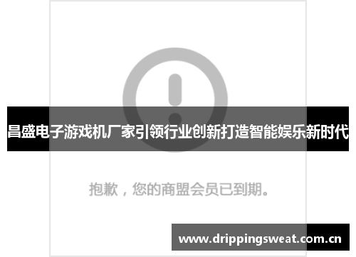 昌盛电子游戏机厂家引领行业创新打造智能娱乐新时代