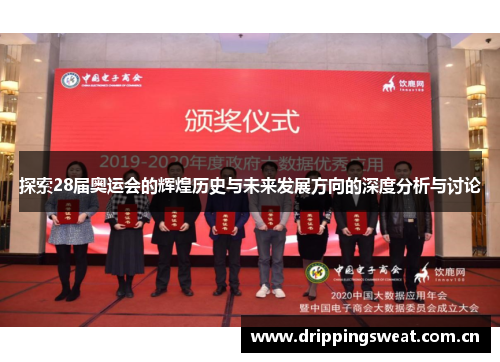 探索28届奥运会的辉煌历史与未来发展方向的深度分析与讨论