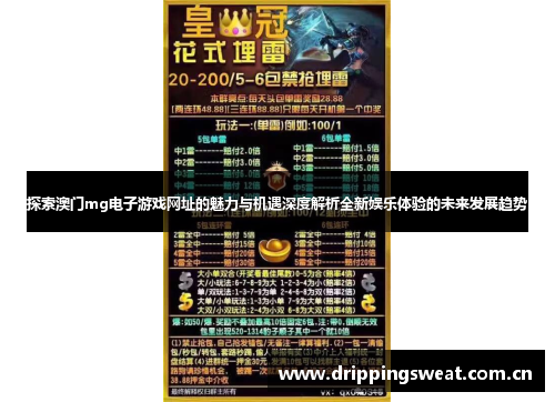 探索澳门mg电子游戏网址的魅力与机遇深度解析全新娱乐体验的未来发展趋势