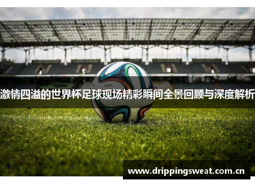 激情四溢的世界杯足球现场精彩瞬间全景回顾与深度解析