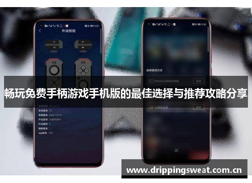 畅玩免费手柄游戏手机版的最佳选择与推荐攻略分享