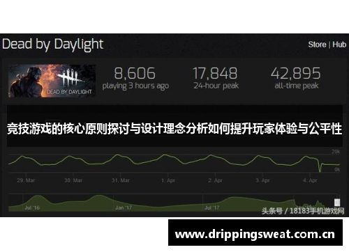 竞技游戏的核心原则探讨与设计理念分析如何提升玩家体验与公平性