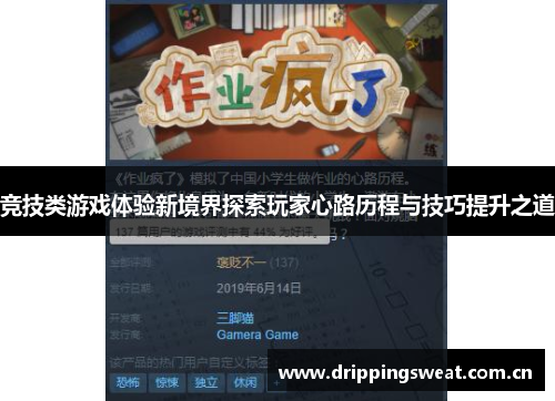 竞技类游戏体验新境界探索玩家心路历程与技巧提升之道