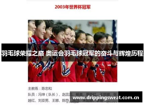 羽毛球荣耀之巅 奥运会羽毛球冠军的奋斗与辉煌历程