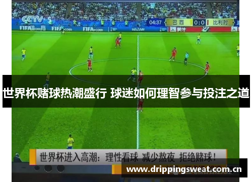 世界杯赌球热潮盛行 球迷如何理智参与投注之道