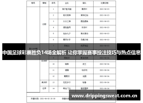 中国足球彩票胜负14场全解析 让你掌握赛事投注技巧与热点信息