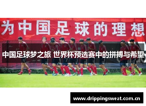 中国足球梦之旅 世界杯预选赛中的拼搏与希望
