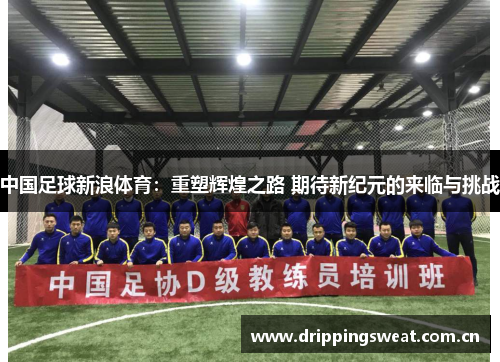 中国足球新浪体育：重塑辉煌之路 期待新纪元的来临与挑战