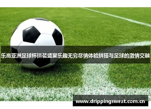 乐高亚洲足球杯拼装盛宴乐趣无穷尽情体验拼搭与足球的激情交融