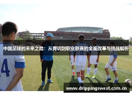 中国足球的未来之路：从青训到职业联赛的全面改革与挑战解析