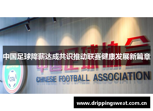 中国足球降薪达成共识推动联赛健康发展新篇章