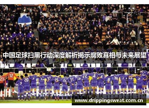 中国足球扫黑行动深度解析揭示腐败真相与未来展望