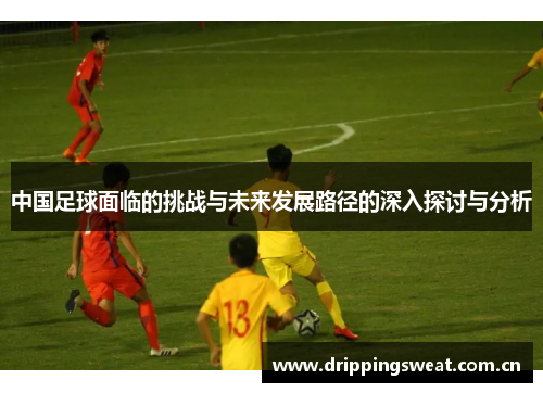 中国足球面临的挑战与未来发展路径的深入探讨与分析
