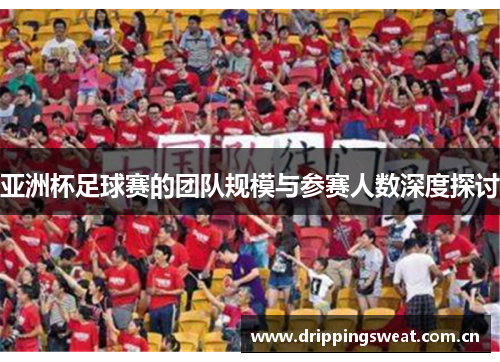 亚洲杯足球赛的团队规模与参赛人数深度探讨