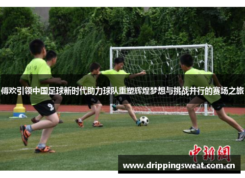 傅欢引领中国足球新时代助力球队重塑辉煌梦想与挑战并行的赛场之旅