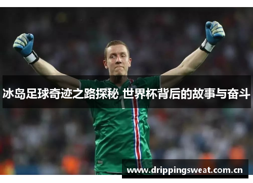 冰岛足球奇迹之路探秘 世界杯背后的故事与奋斗