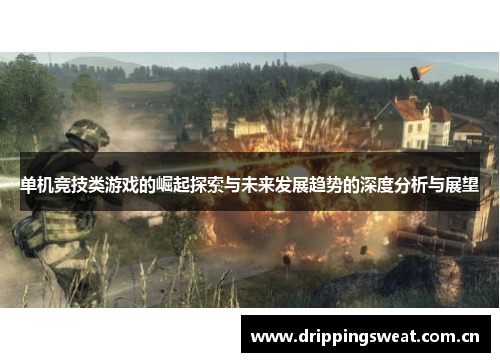 单机竞技类游戏的崛起探索与未来发展趋势的深度分析与展望